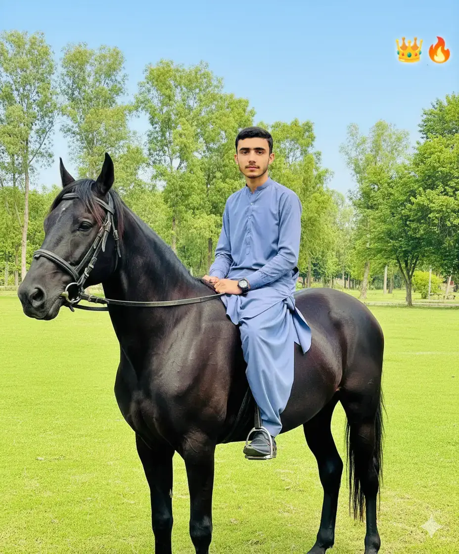👑🔥......... ##fyppppppppppppppppppppppp  ##unfreezmyaccount  ##viralvideos  #foryoupage  @𝙈𝙖𝙡𝙞𝙠_𝙐𝙈𝘼𝙄𝙍[𝗘]😎 