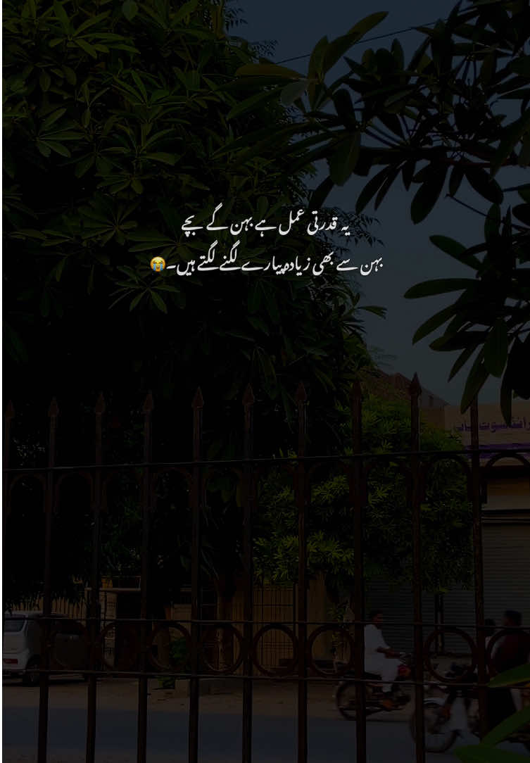 Bilkul🫶😭#grow #fyp #poetry #viralvideos #aestheticvideos 