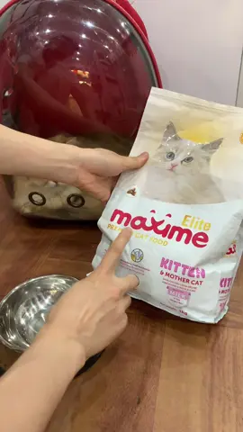 Hạt cho mèo mẹ và mèo con maxime elite #meocon #cuncondangyeu #xuhuong #pets #viral 