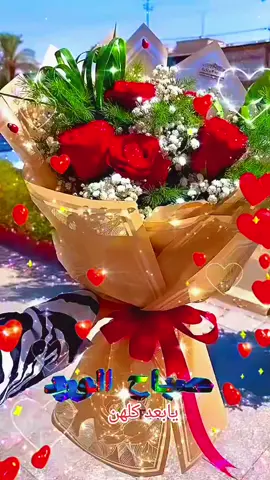 ✨️🕊 صــــــ🌤ـــــباح الجـــــــ🤩ــــمال٠٠❤️للـذين يبـــحرون في أيامنا بــحب٠٠🌺 الذين ترســوا بوجودهم ضــحكات القــلب٠٠ على الثــغور و تــهطل غـــيوم الأحلام بجمال لا ينقطع٠٠ ✨️🕊 صــــــــ🌤ـــباح الـــــــ⚘️ــــورد٠٠🌹 للـــــذين تزهر بهم قلوبنا ٠٠💕 ويـــــــــعطرون بــــــفرح الوصال أرواحنا٠ ✨️🕊 صـــــــــباحكم ســـــــعادة تســــــكن قلوبكم النقية ٠ ❤️❤️❤️صبـ᭄♥⑅⃝ــآح🌹آآٍْآٍٍْآٍٍٍْلــــــورد🌹♡❤️❤️❤️#الشعب_الصيني_ماله_حل💔🥀😔💔 
