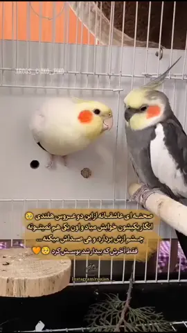 💞💖💕