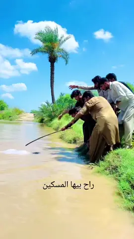 ##في هذا اليوم #**#foryou / #foryoupage#*#* –  #fyp، @المحامي وخبيرقضائي علي الحيدري 