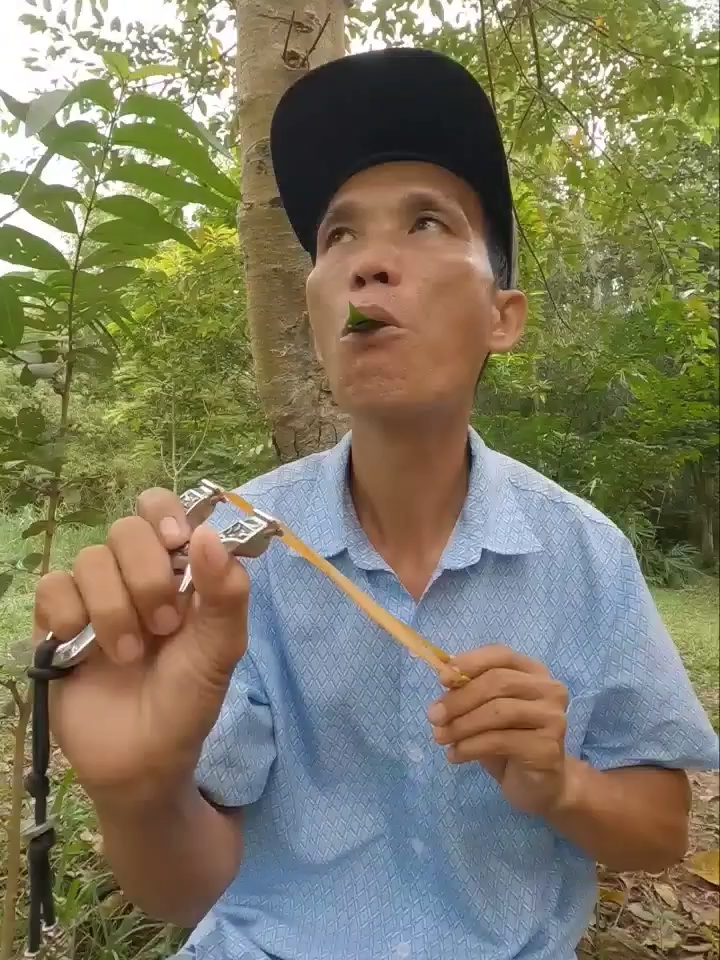 #entertainment #birdsounds #shorts - Nguyễn Điền Trung