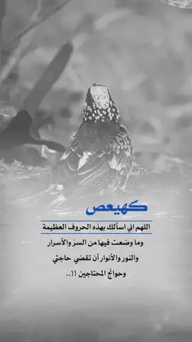 اللهم اني اسألك بهذه الحروف العظيمه ان تقضي حاجتي وحوائج المحتاجين #اعادة_النشر🔃 #إيفان_الجيزانيه #اقتباسات_دينيه #كهيعص #كهيعص_ذكر_رحمت_ربك_عبده_زكريا🌹📚 