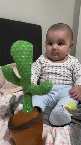 This Cute and Funny Talking Plant Toys for kids keep then engaged and very fun to play and good gift from parents #toys #kids #kidstoys #toysforkids #funny 