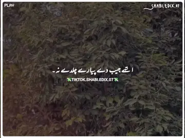 اتہے جیب دے پیارے چلدے نہ#foryou #foryoupage #burhan_tv #fyp #shabiedix07 @𝓨𝓸𝓾𝓻 𝓽𝔂𝓫✨🦋 