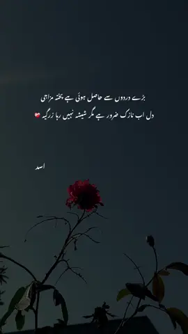 Aww ! 🤍#hehe_asad 