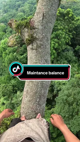 Maintance balance