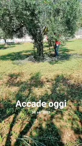 #accadeoggi