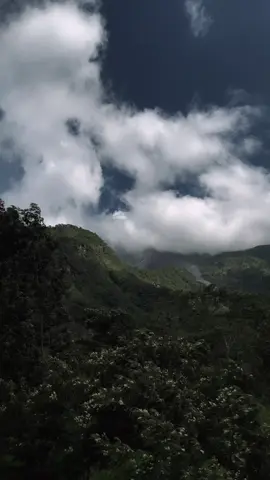 Tempat ternyaman yang pernah ada #merapi #mountain ##Hiking 