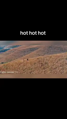 Hot movie hmoob China 🇨🇳