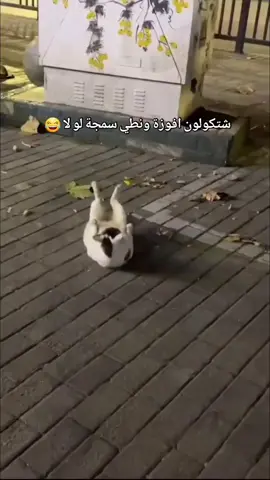 #تعليق_ومتابعه_واكسبلورو😂😂 #شعب_الصيني_ماله_حل😂😂😂 #بغداد_بصرة_موصل_الكويت_الخليج_دبي_تحشيش 