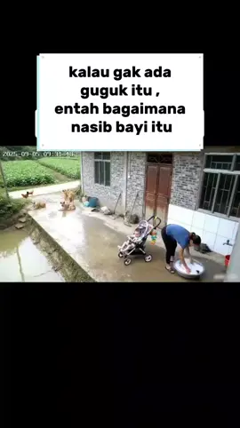 anjing penyelamat 🤗  #viraltiktok #hewanpintar #anjingpenyelamat