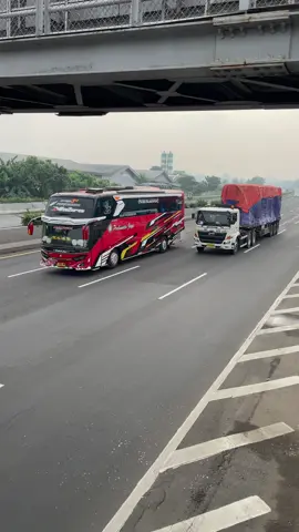 Mabra🚀 #fyppppppppppppppppppppppp #busmania 