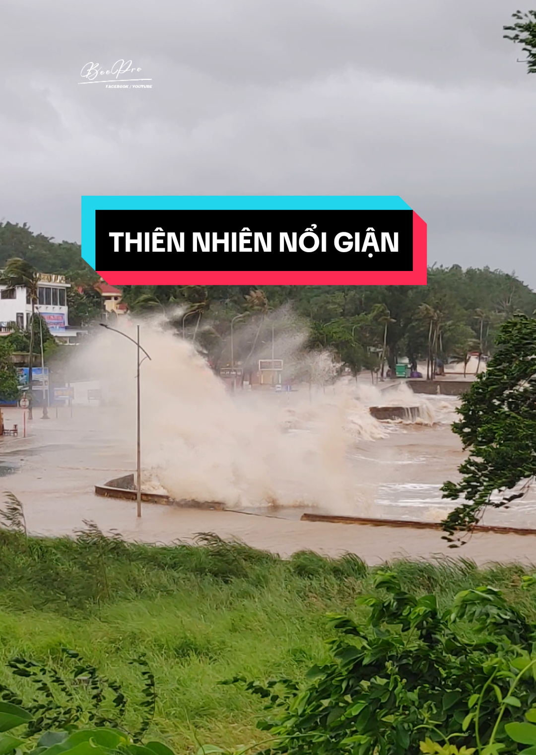 Đồ Sơn - Nơi đầu sóng ngọn gió 🌊 Thiên nhiên đang nổi giận, mong bình an đến với tất cả mọi người 💞 #doson #biendoson #baobualoi 