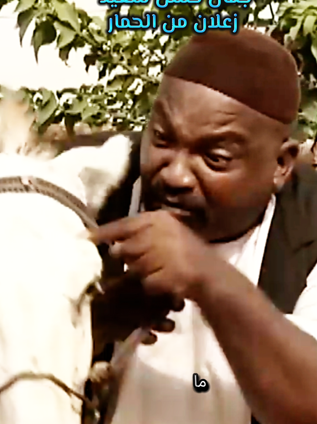 جمال حسن سعيد زعلان من الحمار عشان ما عايز يشتغل دراما سودانيه  #سودانيز_تيك_توك_مشاهير_السودان #سودانيز_تيك_توك_مشاهير_السودان💜🇸🇩💜 #الشعب_الصيني_ماله_حل😂😂 #السودان #السودان🇸🇩 