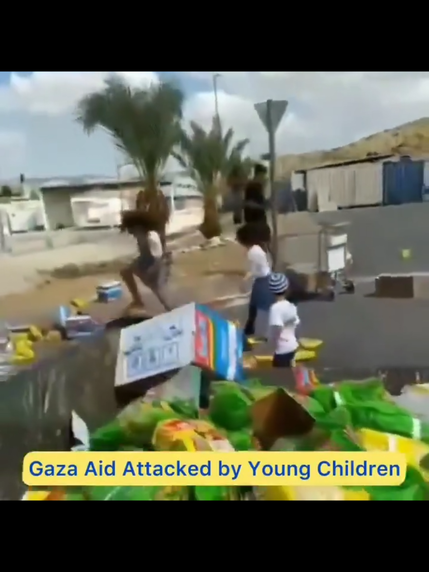 bantuan untuk gaza. terlihat di video makhluk makhluk yang numpang tinggal di tanah orang lain, melakukan tindakan yang tidak tahu diri siapa kah mereka??? #gaza #palestine #muslim #islam #indonesia🇮🇩 