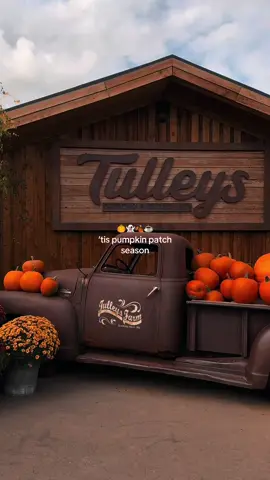 Reminder that there’s a pumpkin patch near London!! #tulleysfarm #pumpkinseason #pumpkinpatch #autumnvibes #autumnaestethic 