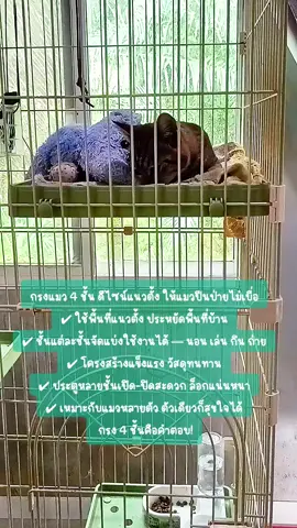 #กรงแมว4ชั้น  #บ้านแมวสวย  #สายทาสแมว  #แมวปีนป่าย  #ทาสแมวต้องมี 