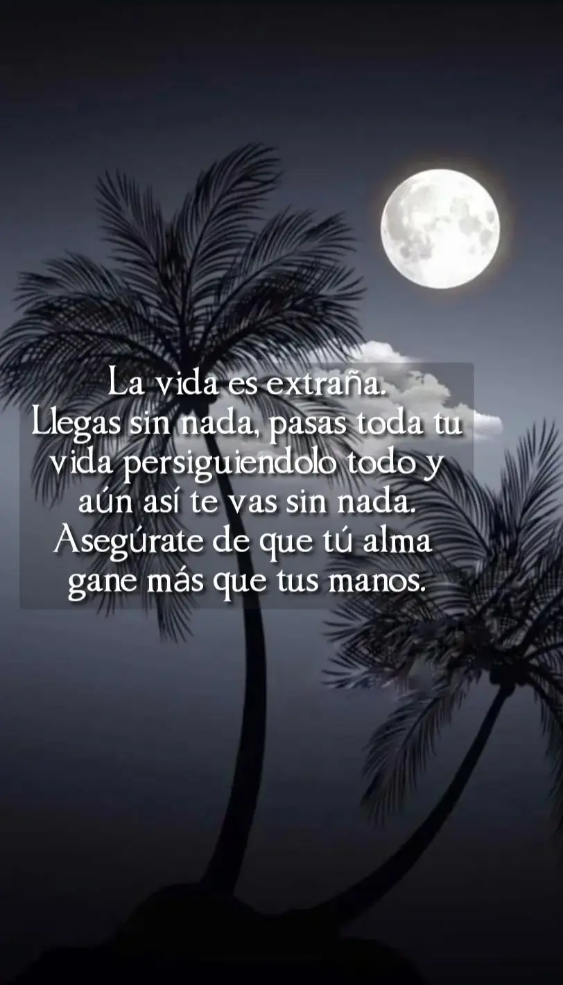 #fyp #paratii #frases #tiktok #motivation 