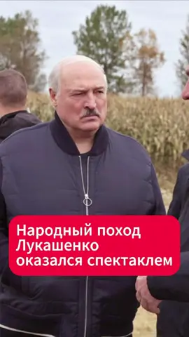 Выход Лукашенко к людям оказался постановочным  #лукашенко #беларусь #народ #совхоз #городец #новости #факты #тикток