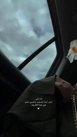 أنا أنثى ازهر أينما وضعت واضي                                #explore 