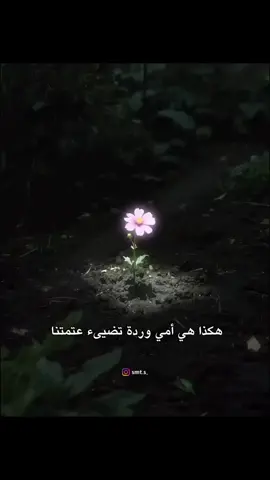 امي ❤❤ #اكسبلورexplore #مشاهدات100k🔥 #مشاهير #لايكات 
