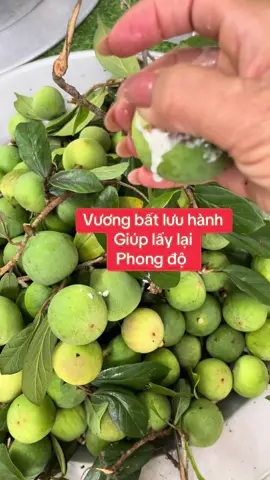 09-88-110-126#bothantrangduong #thaoduocthiennhien #danongdichthuc #xuhuongthinhhanh 