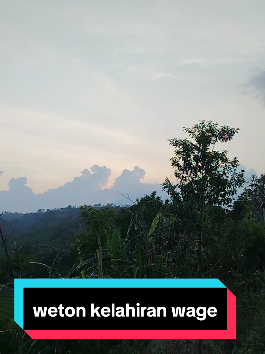 weton kelahiran wage#wage #wetonwage #wetonkelahiran #wetonjawa #weton 