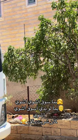 #الظاهرية❤_عشق_لا_ينتهي #شوفير_بالوطن_ولا_دكتور_بالغربة❤️🔥 #لازم_يطلع_اكسبلوور #لازم_يطلع_اكسبلوور #لازم_ينزل_ترند 
