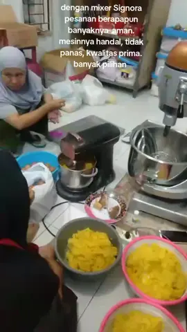 mixer besar merk Signora #mixerbesar #kue #cake #kursuskue #fyp 
