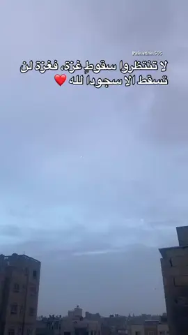 لاتنتظروا سقوط غزة فغزة لن تسقط الا سجوداً لله💚#غزة_فلسطين_عمان_سوريا_مصر_المغرب_تركيا #فرنسا🇨🇵_بلجيكا🇧🇪_المانيا🇩🇪_اسبانيا🇪🇸 #عش_الدبابير🖤🔱 #مشاهير_تيك_توك #ادعموني_علشان_استمر_معكم 