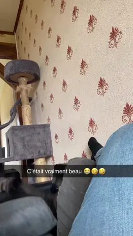 Les flashbacks snap… Appelons sa le karma ou simplement un fou rire incroyable je peux vous dire qu’il fesait la gl… 😂😂😂 🐈 #cat #trend #pourtoiii #chat #fyp 
