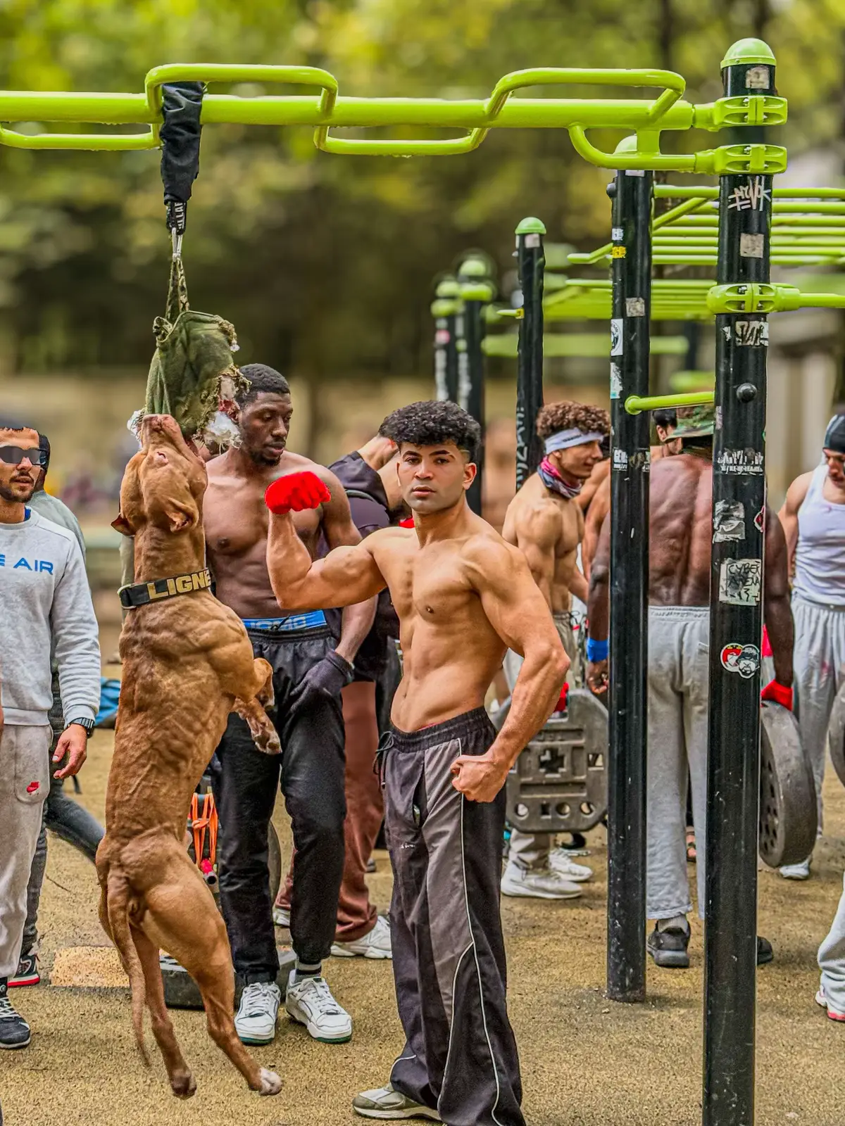 Street workout 🧠🦍🔥#🦁king_team🦁 #motivation #fyp #videoviral #bercy 