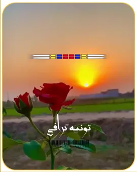 ہنڑ نہ آویں ہنڑ اجڑ گئے ہیں#سرائیکی_سٹیٹس،سرائیکی۔سونگ🌹  #سرائیکی_سٹیٹس،ویڈیو  #سرائیکی۔سونگ🌹✌️❣️ #اسٹیٹس۔۔۔۔۔۔۔۔۔۔❤ #اسٹیٹس_وائیرل                                           Tiktok team Unfreeze my Accounts  تونسہ گرافی 786@امتیاز فاخر ✍️🏻💔 @𝑨rslan 𝑸aisaR official ✍️🍾 @خان زادی 🦋 