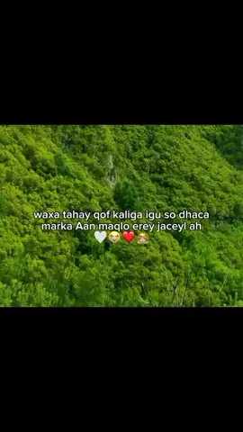 #marka aan maqlo erey jecyl ah❤️#fypシ゚ #viral🖤 #monster❤️ #viral monster