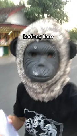 uculll seko kandang🙏🏻