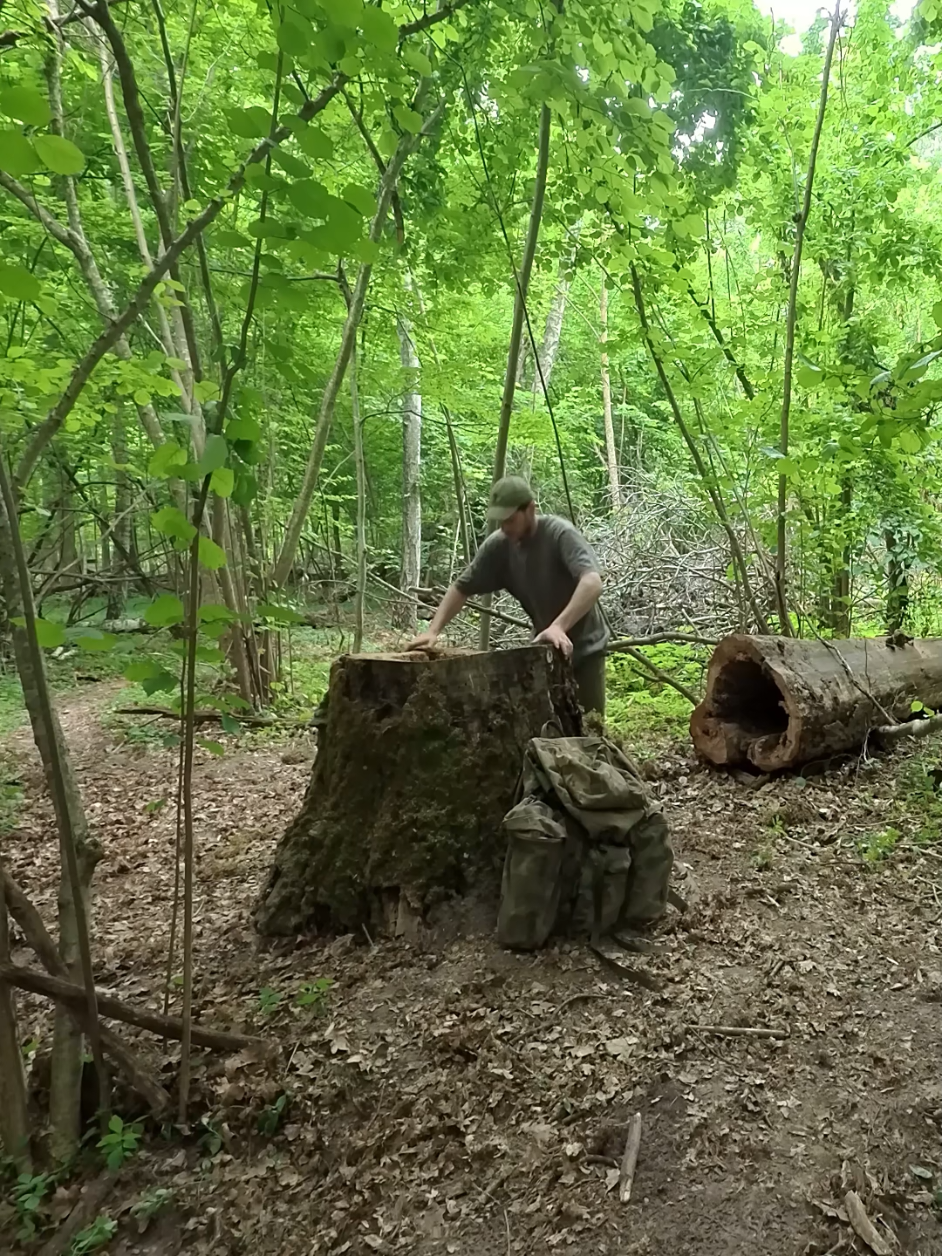 Full Process of How to Build a Shelter in the Woods #camping #survival #Outdoors #amazon #top 