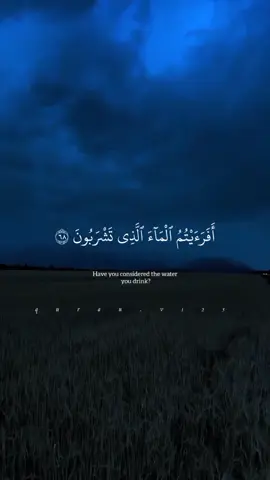#سورة_الواقعة #quran #سعود_الفايز #foryou #اكسبلورexplore 