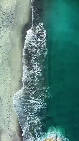#CapCut 