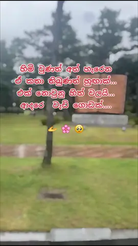 #හිමිවෙන්න#ඔිනිමද#typ #tharu #viraltiktok #srilankan_tik_tok🇱🇰 #salmiya 