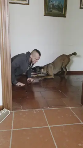 io ed Ellie che ci mescoliamo #elliemalin #perte #elliedog #malin #malinois