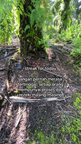 #sawit #sawitsarawak #petanisawit 
