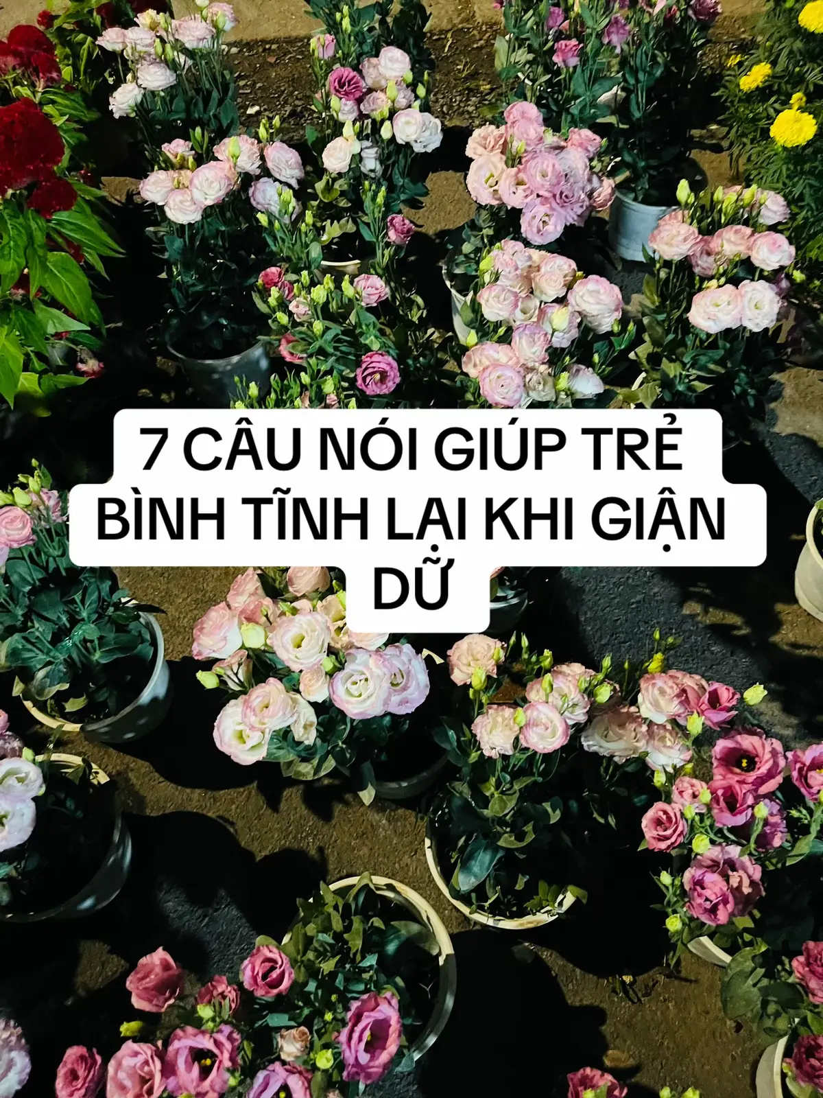 Lúc con mất bình tĩnh, chính là lúc bố mẹ cần bình tĩnh nhất, xoa dịu, an ủi, vỗ về để trẻ thấy được sự quan tâm từ bố mẹ. #daycon #dayconthongminh #nuoidaycon #tamlytrecon #conlabunday  @Con là Bún đây!🐱  @Con là Bún đây!🐱  @Con là Bún đây!🐱 