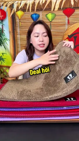 Thảm lau chân hàng dày đẹp chống trượt