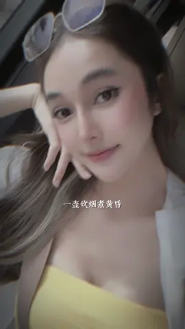 តាមគេ🤪