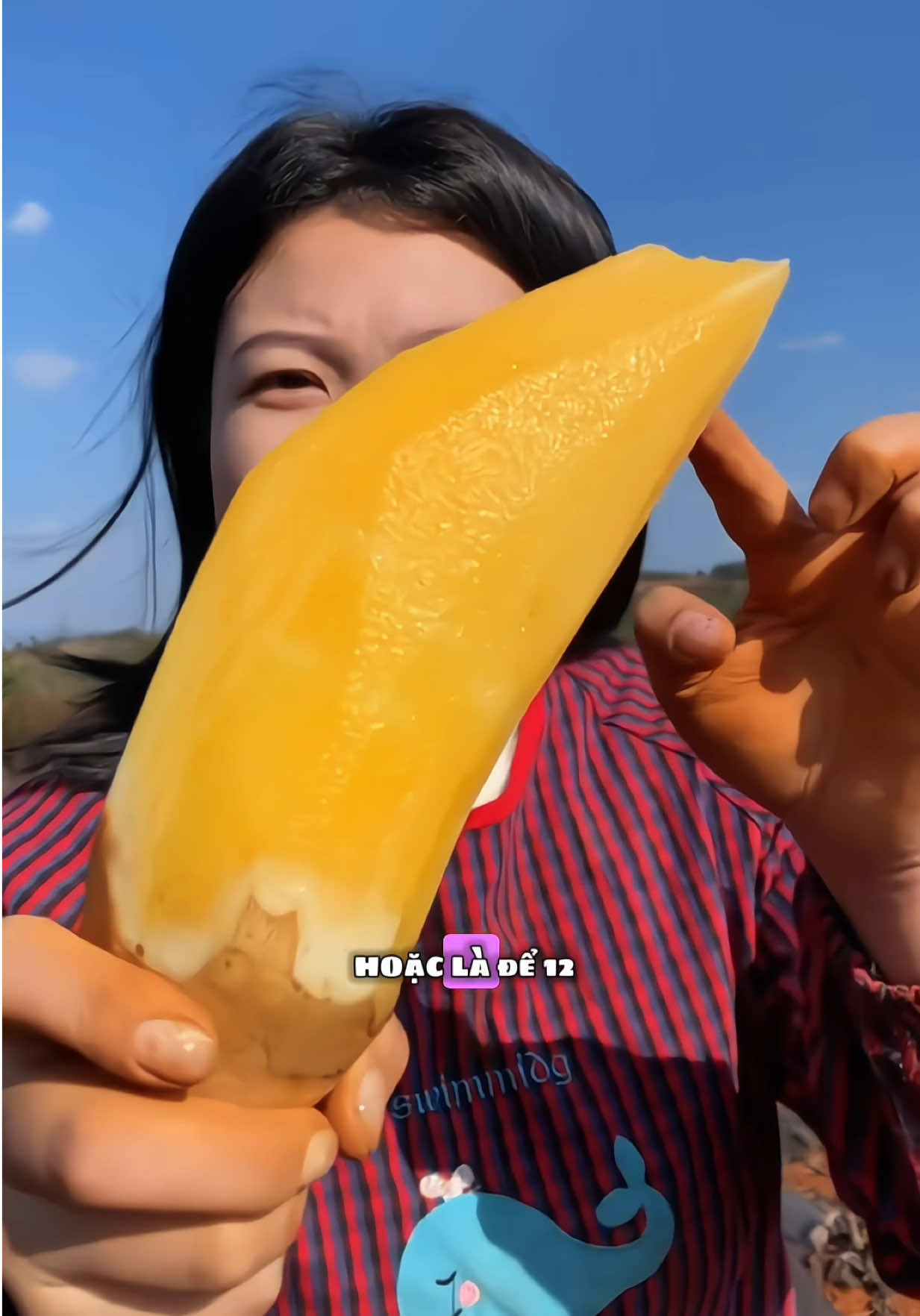Trả lời @Trần thu Sâm Đất Củ To 1 kí 4 Củ To nhé #cusamdat #cusamdatlaocai #samdatlaocai #samdattaybac #byntchuyengiadung 