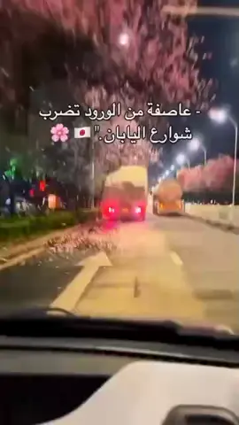 #عاصفة من القراطيس تضرب شوارع اليمن