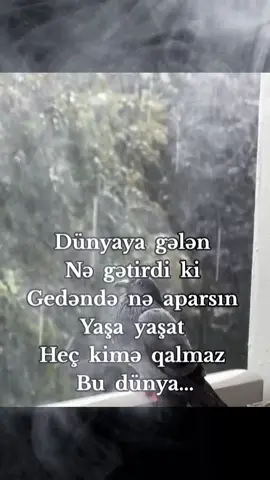 #fup #fy #viraltiktok #keşfetteyizzz #kesfet 