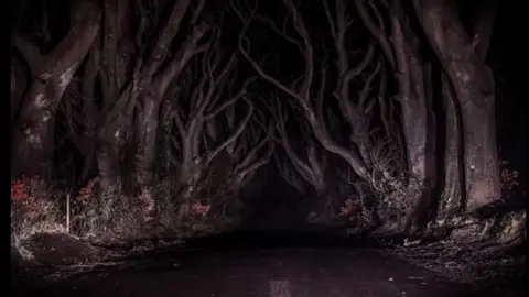 Too scary… I had to run! 😨🌲